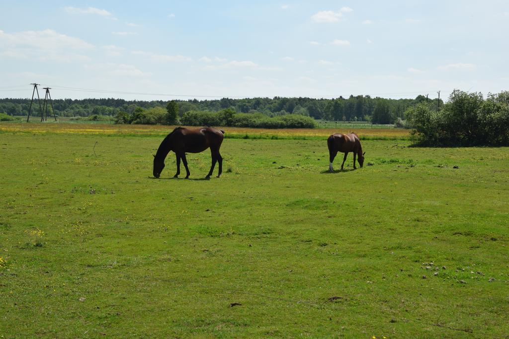 Domki Letniskowe Nad Morzem Ujście-Darłowskie Exterior foto